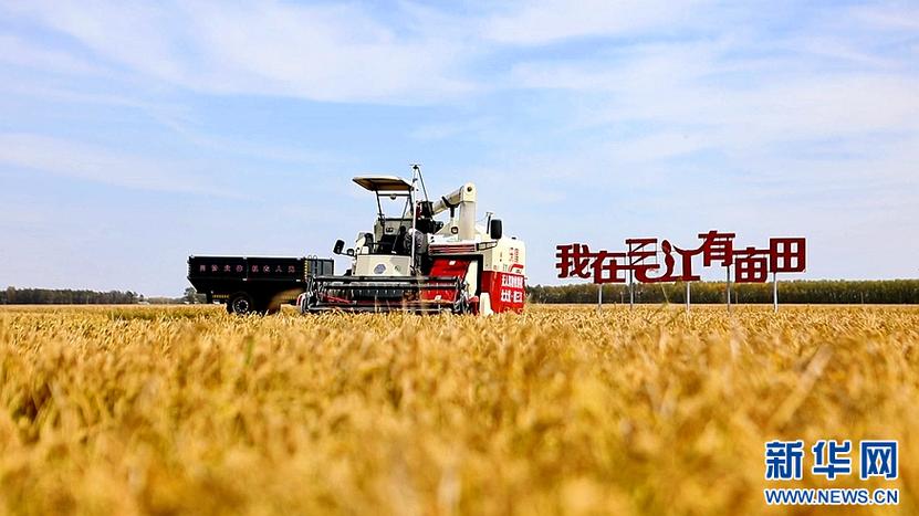 如东粮食购销